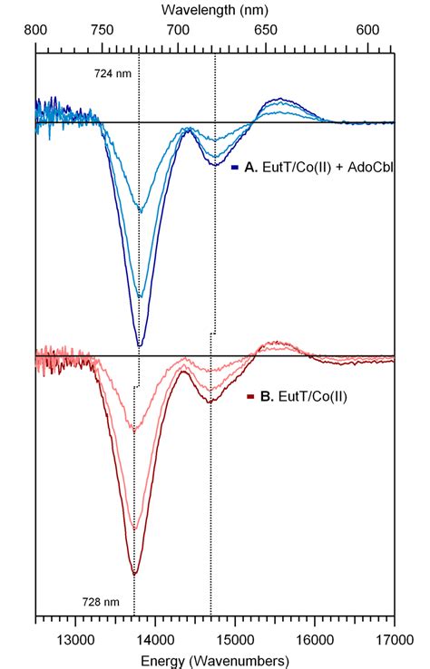 6 MCD Spectra Of A EutT WT Co With AdoCbl And B EutT WT Co At