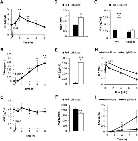 Circulating Serum Ffa Saa And Agp Levels In Wild Type Mice In Download Scientific Diagram