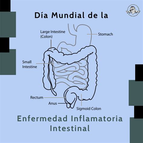 D A Mundial De La Enfermedad Inflamatoria Intestinal