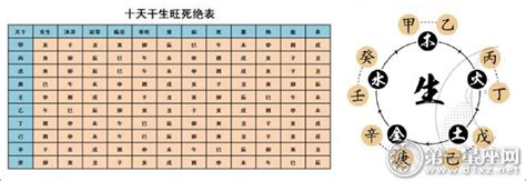 十天干十二地支、十天干生旺死绝表、十天干喜忌 第一星座网