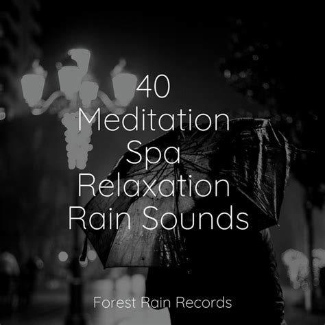 40 Meditation Spa Relaxation Rain Sounds Album By Yoga Workout Music