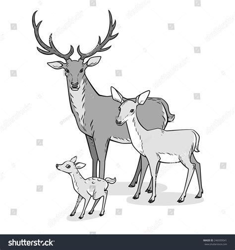 896 Family Roe Deer Doe Fawn Images, Stock Photos & Vectors | Shutterstock