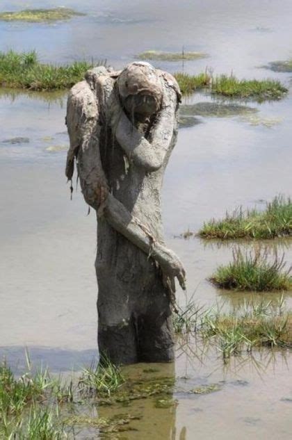 Sculptures In Nature | Others