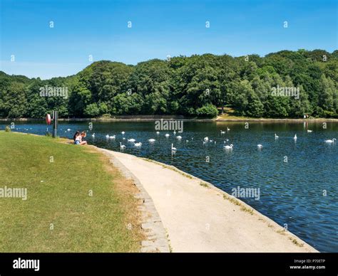 Roundhay Park Gardens High Resolution Stock Photography And Images Alamy