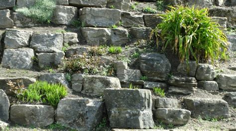 Rock Garden Wall Free Stock Photo - Public Domain Pictures