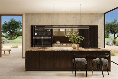 Discover Modern Elegance: Kitchen Design Vision