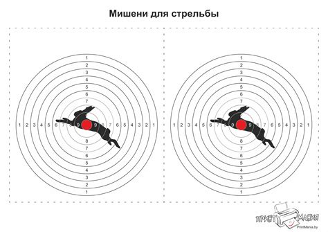 Распечатать стрельбу