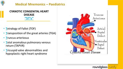 What Is Cyanotic Congenital Heart Disease Pregnant Center Informations