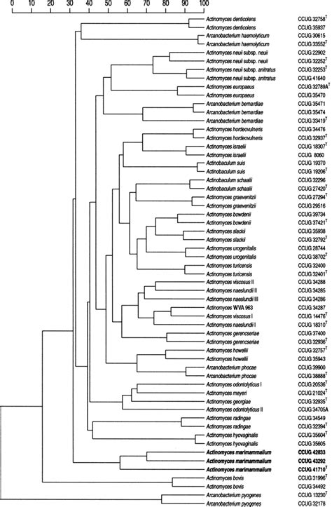 Similarity Dendrogram Based On Whole Cell Protein Patterns Of