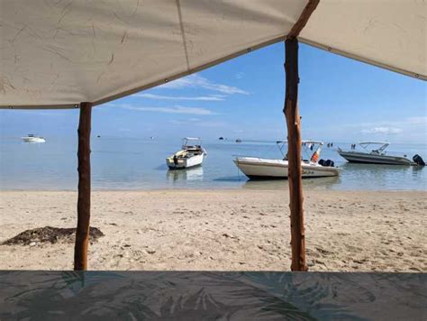 Tamarin Dolphinswim Crystalrock Lunch On Benitiers Isle Getyourguide