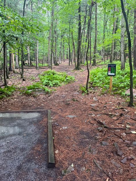 American Legion Doubles American Legion Doubles Mountain Top PA