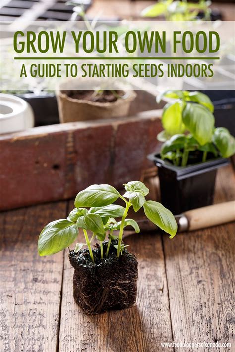 Grow Your Own Food A Guide To Starting Seeds Indoors Food Bloggers Of Canada Growing Fruit