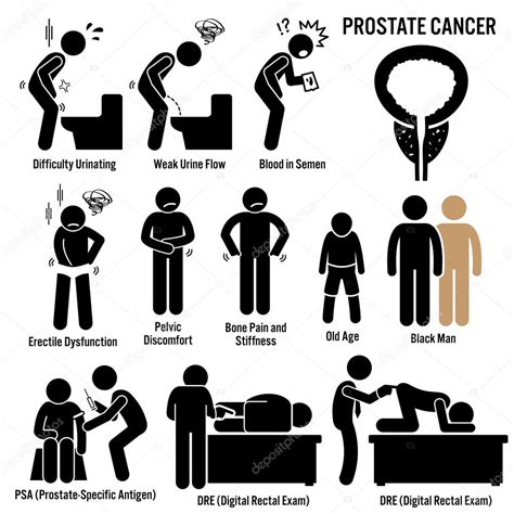 Prostate Cancer Symptoms Causes Risk Factors Diagnosis Stick Figure