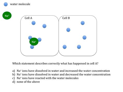 Diffusion And Osmosis Problems Worksheet Answer Key - Cells Diffusion Osmosis Revision Question ...