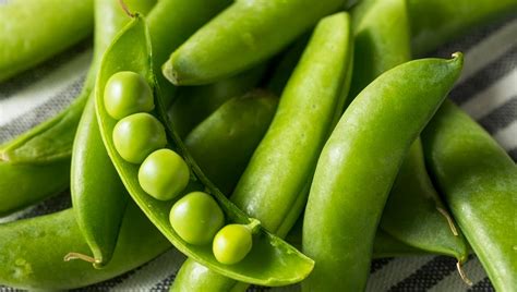 Pueden Comer Guisantes Los Perros Los Guisantes Tirabeques Son