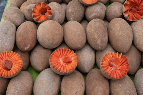 10 Health Benefits Of Mamey Fruit Diving Into A Great Fruit