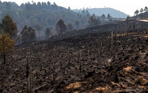 Declaran La Emergencia Y Desastre Agropecuario En C Rdoba Por Los Incendios