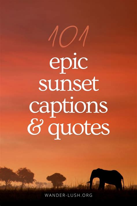 Inspiring Meaningful Sunset Captions Quotes Sunset Captions