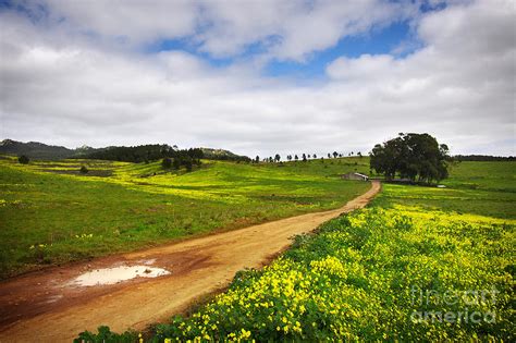 Countryside landscape Photograph by Carlos Caetano - Fine Art America