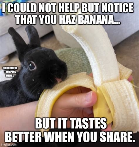 Bunny Banana Imgflip