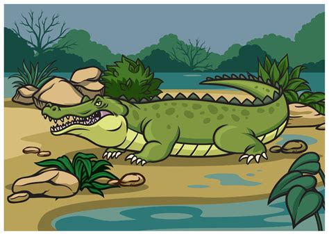 Crocodile illustration in the nature 21776237 Vector Art at Vecteezy