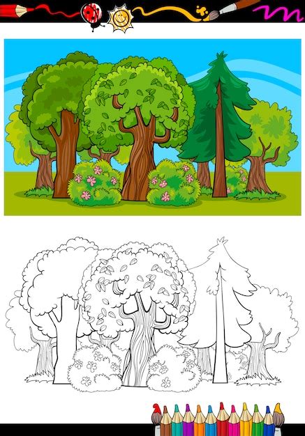 Selva Bosque De Dibujos Animados Para Colorear Libro Vector Vector Porn Sex Picture