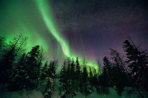 More Epic Aurora Borealis Shots from Churchill - Churchill Polar Bears