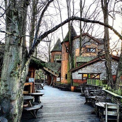 The Treehouse Restaurant at Alnwick Gardens – Alnwick, England - Gastro Obscura