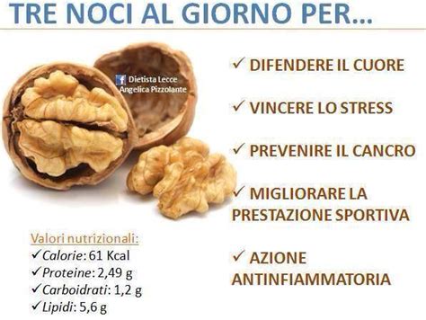 Le Noci Ecco Benefici Per La Salute