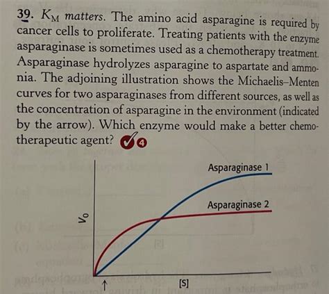 Solved Km Matters The Amino Acid Asparagine Is Required Chegg