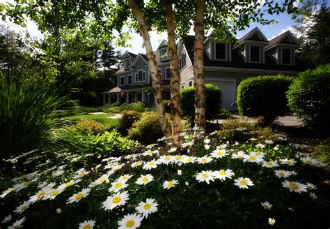 6 Backyard Flooding Solutions For Landscaping A Storm Proof Yard