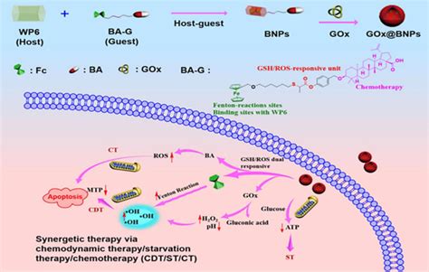 The Assembly Gshros Dual Responsive Supramolecular Nanoparticles