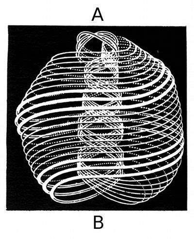 Polarity Therapy Volume 2 Book 6 Chart 12 Polarity Therapy 7