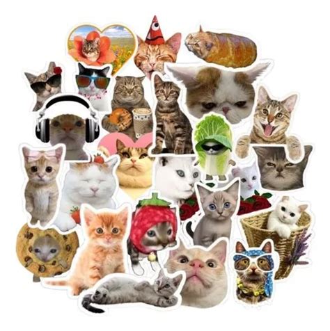 Gatos 50 Calcomanias Stickers Lindo Gato Dibujos Animados | MercadoLibre