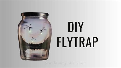 Homemade Fly Trap - 3 Simple Ideas You Can Make At Home