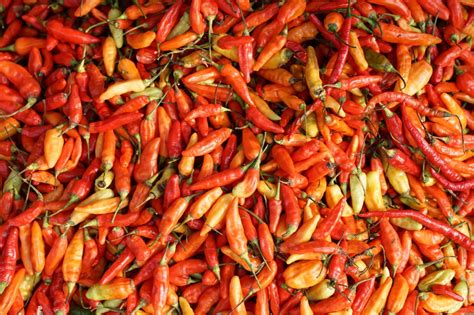 harga cabe cabean makin hot cek daftarnya fajar