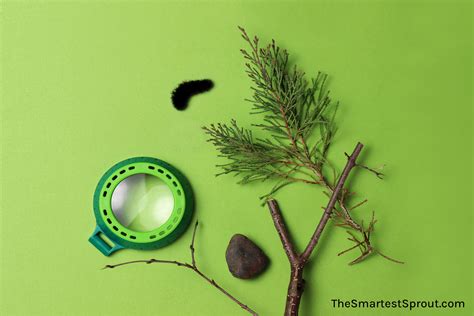 Preschool Science Toys: 6 Remarkable Learning Toys for Little Ones