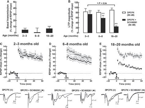 Adenosine A2a Receptors A2ar Modulate Synaptic Plasticity Throughout Download Scientific