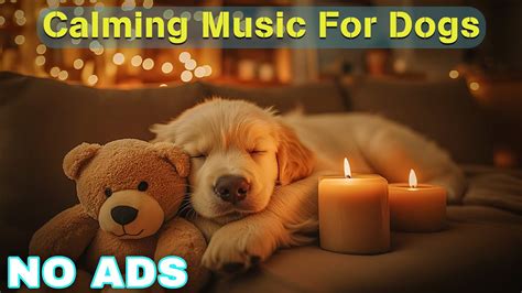 12 Hours Of Healing Music For Dogs 🦮 Dog Relaxing Music For Stress