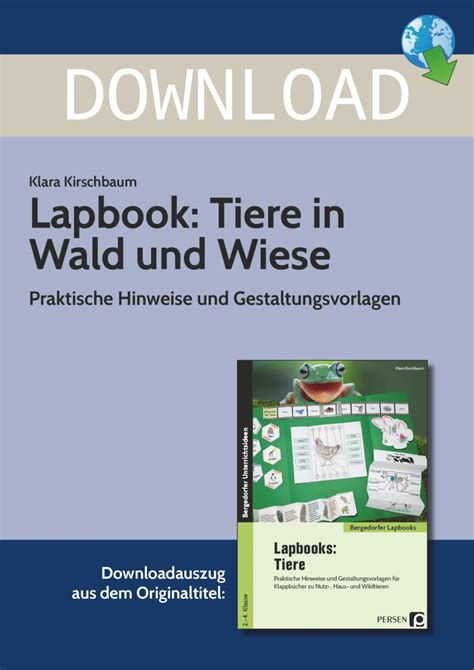 Lapbook Tiere In Wald Und Wiese Grundschule