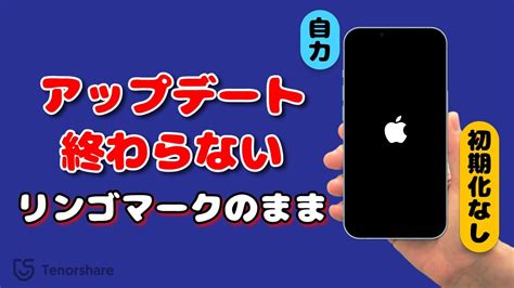 【2024年最新・ios18対応】iphoneアップデート終わらない！リンゴマークから進まない場合の解決法 Youtube