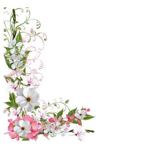 Цветы для рамки на прозрачном фоне - фото и картинки abrakadabra.fun