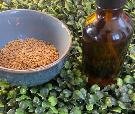 Fenugreek Hair Oil - Etsy