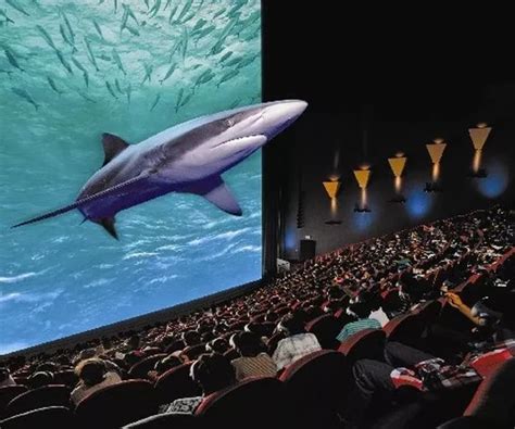 The story behind Bristol's IMAX cinema hidden inside Bristol Aquarium ...