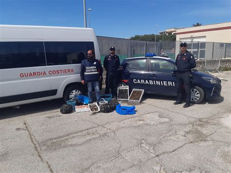 Manfredonia Sequestrati Prodotti Ittici Privi Di Tracciabilit