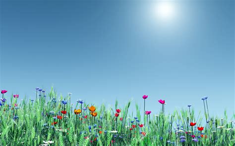 Desktop Wallpaper For Windows 8 Flowers