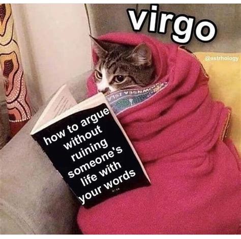 Zodiac Memes 30 Zany Virgo Memes That Speak The Celestial Truth