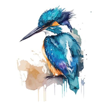 Premium Vector Watercolor Colorful Kingfisher Vector