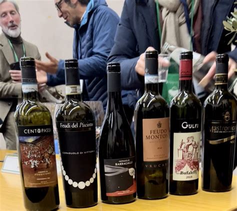 Guida Ai Vini Di Sicilia 2023 VIP Vino In Pratica