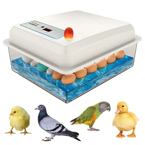 Incubateur automatique de 20 œufs couveuse d oiseaux caille poussin